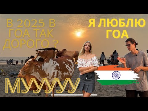 Видео: Гоа 2025: Цены в Арамболе взлетели? Жильё, еда, байки, пляжи, коровы и жизнь в Индии