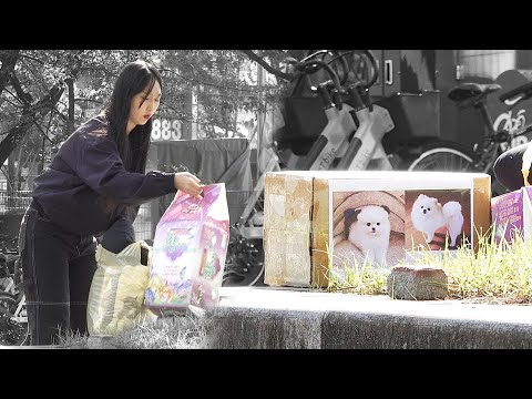 Видео: Что делать, если вы видите, что хозяин бросил собаку?