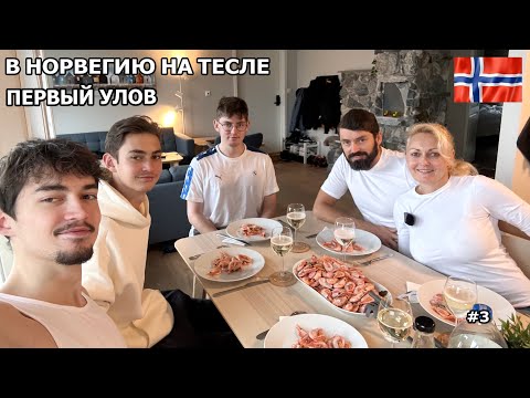 Видео: В Норвегию на Тесле на рыбалку. Место просто шикарное, рыба ловится как в сказке. #3