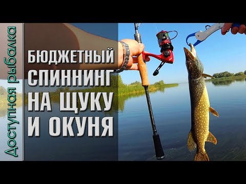 Видео: ТЕСТ БЮДЖЕТНОГО СПИННИНГА НА ЩУКУ И ОКУНЯ для начинающих с АлиЭкспресс | SEAKNIGHT FALCON + PUCK