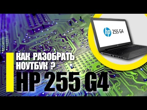 Видео: Разборка ноутбука HP 255 G4 / Как ПРАВИЛЬНО разобрать ноутбук HP 250 / Замена оперативки HP 255 G4