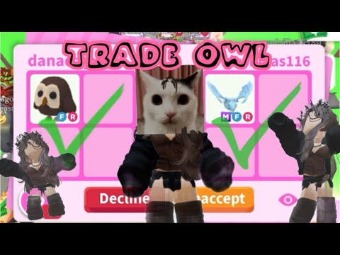 Видео: ЧТО ДАЮТ ЗА СОВУ В ADOPT ME😳2024Году???/TRADING OWL 🫣🫢ADOPT ME
