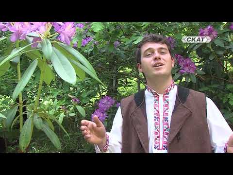 Видео: Стамат на Донка думаше - Костадин Михайлов