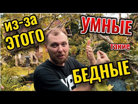 Видео: Если ты такой умный, то почему такой бедный?