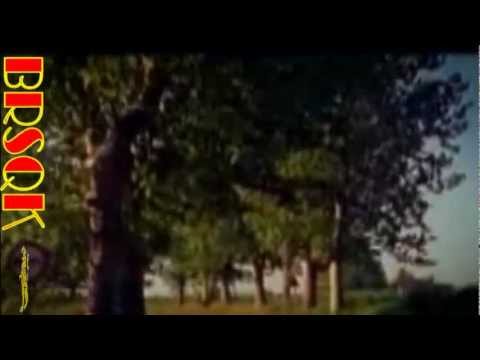 Видео: Мария_Веселин Маринов