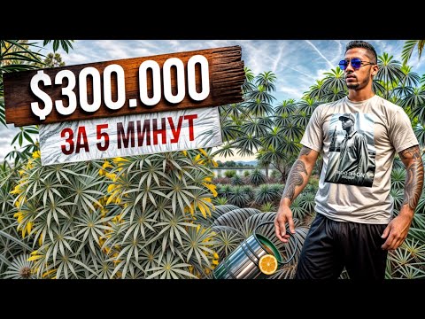 Видео: 300 000$ ЗА 5 МИНУТ | ЛУЧШАЯ РАБОТА НА MAJESTIC RP | ВЫРАЩИВАНИЕ КУСТОВ GREEN | РОЗЫГРЫШ