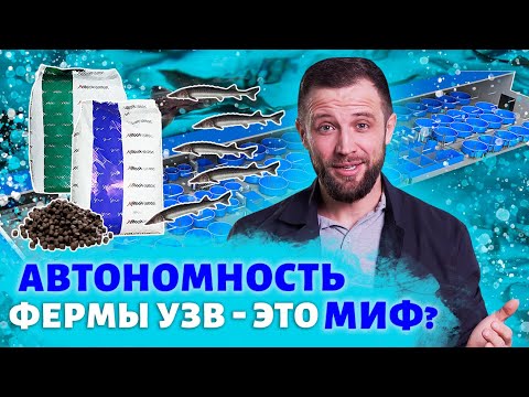 Видео: Когда ПОЛНАЯ АВТОНОМНОСТЬ фермы УЗВ экономически ЦЕЛЕСООБРАЗНА? | Выращивание рыбы как БИЗНЕС