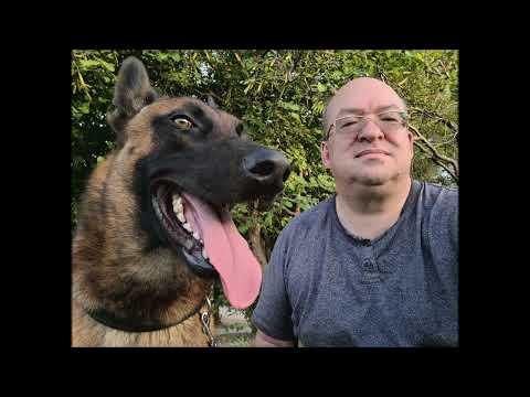 Видео: Чайник за штурвалом истребителя. Часть 1