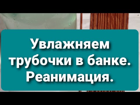 Видео: Увлажнение или реанимация трубочек.