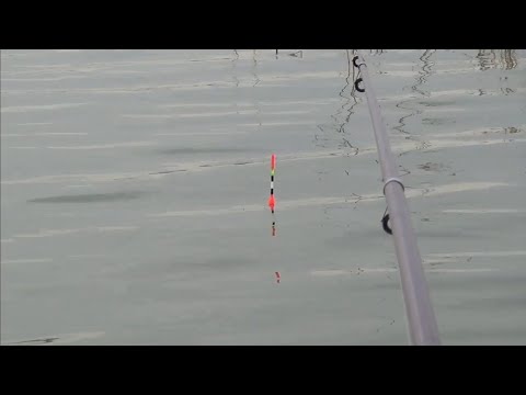 Видео: озеро УЕЛГИ. 25.04.25. Рыбалка на поплавок!