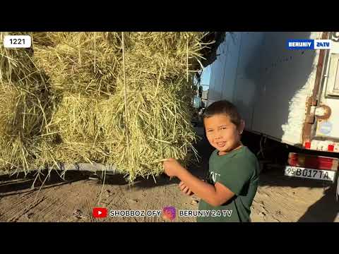 Видео: БЕРУНИЙ УТ ЕМ ХАШАК БОЗОРИ 5 КИСМ 14.09.2025