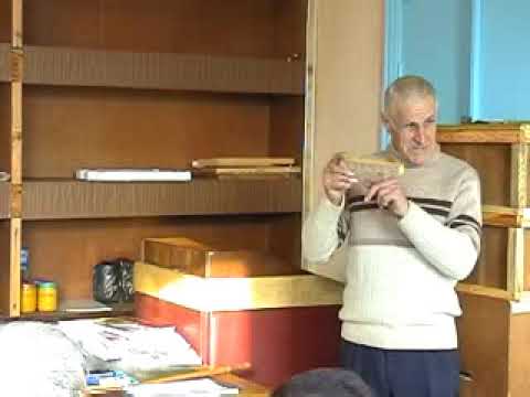 Видео: Интенсивная технология содержания пчел  М И Миленин Часть1