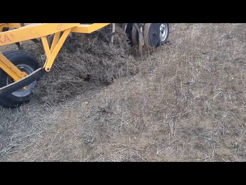 Видео: Посев пшеницы анкером! Проблема! Забивается!