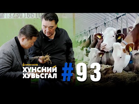 Видео: №93 I ХҮНСНИЙ ХУВЬСГАЛ-ХАРҮМАФҮЖИ СҮҮНИЙ ФЕРМ