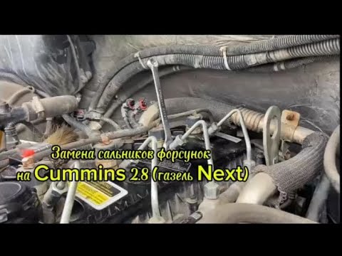 Видео: Замена сальника на Cummins 2.8 (Газель Next).
