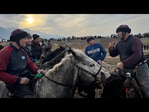 Видео: Акула Соорунду кырды  жаны интервю Чоро балбан