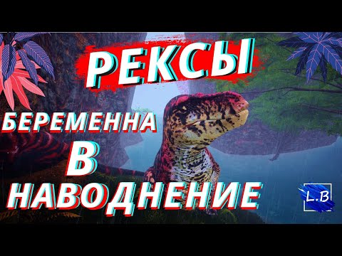 Видео: Beasts Of Bermuda СЕМЬЯ РЕКСОВ БЕРЕМЕННА В НАВОДНЕНИЕ