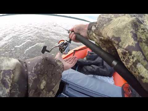 Видео: костромское море