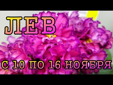 Видео: ЛЕВ таро прогноз на неделю с 10 по 16 НОЯБРЯ 2025 года