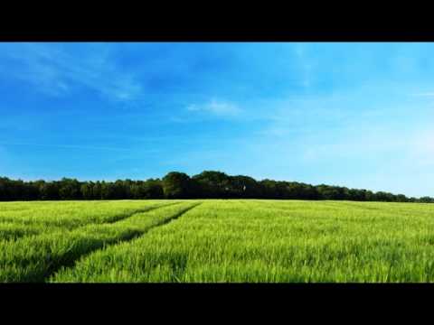 Видео: Ольга Павловська. Щаслива, земле, будь