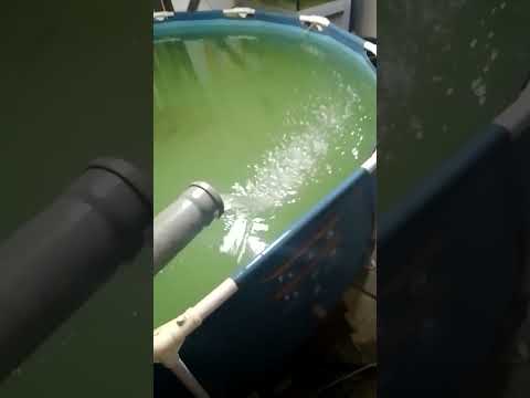 Видео: УЗВ - мини ферма