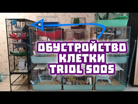 Видео: ОБУСТРОЙСТВО КЛЕТКИ TRIOL 5005 ДЛЯ КРЫС