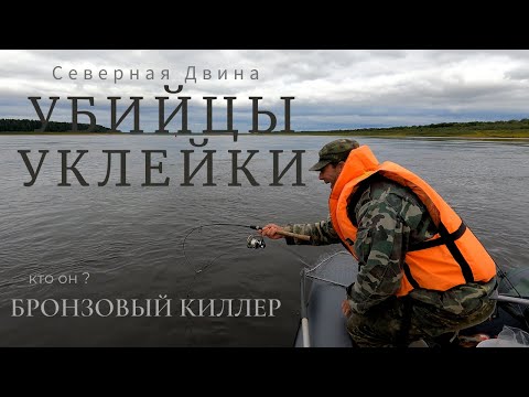 Видео: А чЁ, так можно было? Рыбалка на Северной Двине.
