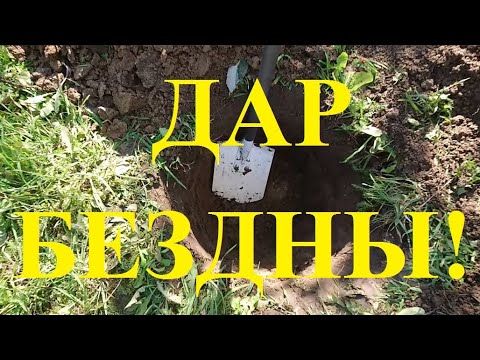 Видео: Поиск клада с глубинным металлоискателем Rex Land Craft и интересная находка!