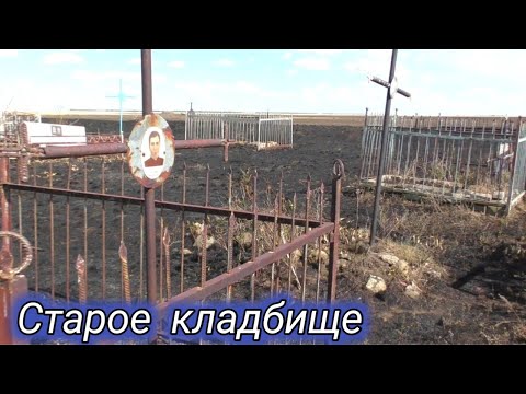 Видео: Старое кладбище возле заброшенного немецкого села.По три,четыре захоронений