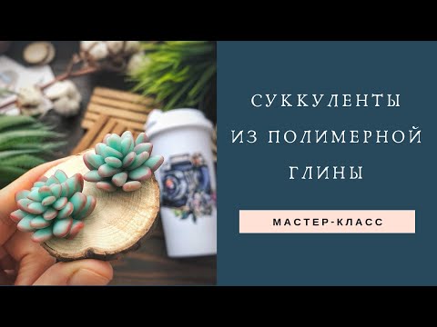 Видео: СУККУЛЕНТЫ из полимерной глины / МАСТЕР-КЛАСС / Polymer clay