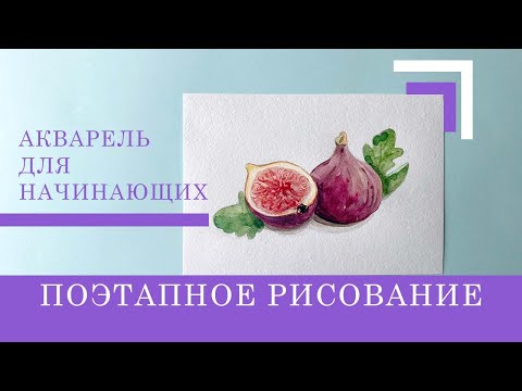 Видео: 🔴 Рисуем Инжир в листьях акварелью. Поэтапное рисование онлайн для начинающих 🔴