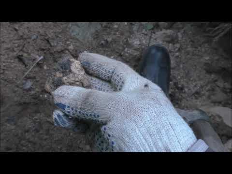 Видео: Найди жилу Цитрин Копь Цитриновая