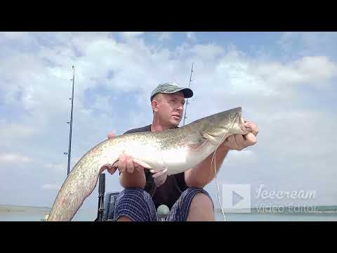 Видео: Сом на квок  Долгожданная поклёвка  Нечто на экране эхолота