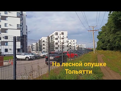 Видео: Вдоль опушки леса Тольятти гуляю / от Центрального до Автозаводского