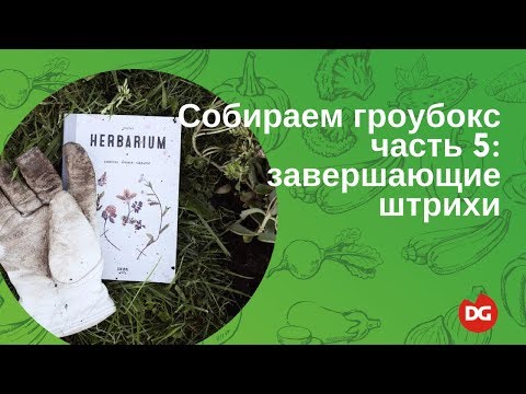 Видео: №34 Как собрать гроубокс 5: завершающие штрихи