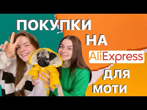 Видео: МОПС МАТИЛЬДА🐶 Наши покупки для щенка на AliExpress и прогулка💚