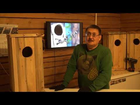 Видео: Утиный дом | кафедра охотоведения | охотовед.pw