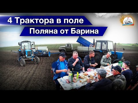 Видео: Срочно культивируем в 4 трактора поле. Окончание ярового сева.  Поляна от Барина.