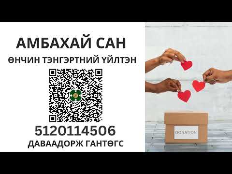 Видео: Шууд ярилцлага #2