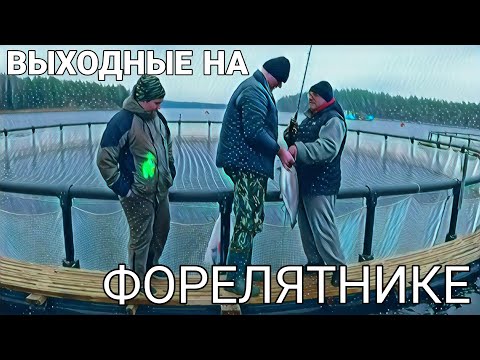 Видео: Я В ШОКЕ!!! ЖИРНАЯ ПЛОТВА НА БЛЕСНУ!!!ВЫХОДНЫЕ НА ФОРЕЛЯТНИКЕ!!!