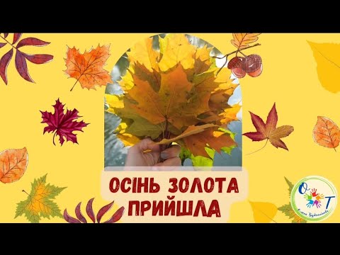 Видео: Осінь золота прийшла. Дерева восени