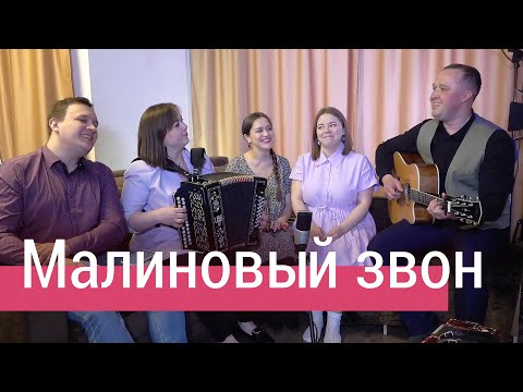 Видео: ПЕСНЯ С ГЛУБОКИМ СМЫСЛОМ – Малиновый звон под гармонь, ансамбль Пташица