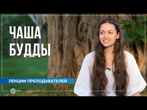 Видео: Чаша Будды: питание просветлённого. Полин Ригель