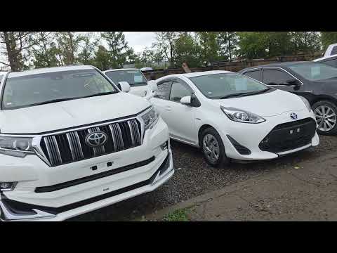 Видео: Авторынок Монголии Улан-Батор / Перегон авто из Владивостока до Москвы через Монголию 