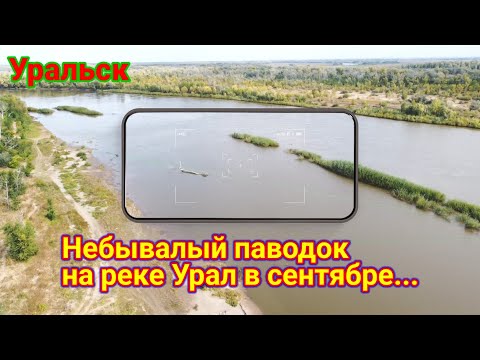 Видео: Паводок на реке Урал в сентябре!