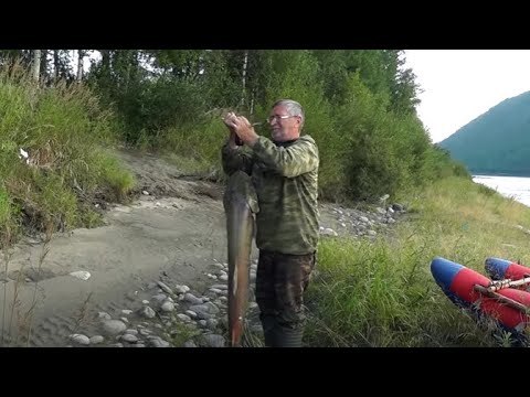 Видео: Река Чара. Сказ 2. Часть 2