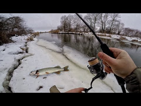 Видео: НЕПРИЛИЧНО МНОГО ЩУКИ! Зимний спиннинг и рыбалка на щуку 2019! Ловля щуки на малой реке зимой