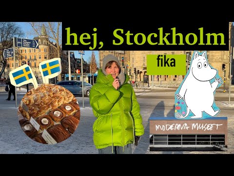Видео: Cтокгольм в январе: музеи, музеи и ещё раз музеи