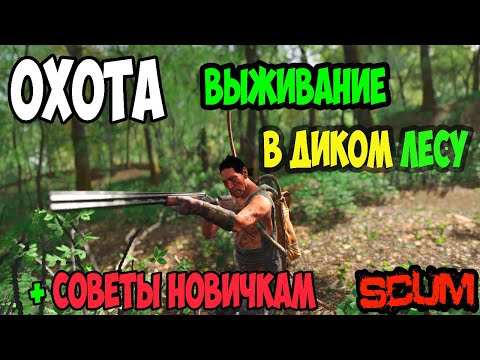 Видео: ГАЙД SCUM | ОХОТА | ВЫЖИВАНИЕ В ДИКОМ ЛЕСУ С ЭЛЕМЕНТАМИ ОХОТЫ В SCUM.  #scum #скам #выживание #охота