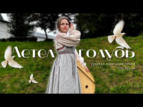 Видео: Красивая русская народная песня на гуслях | Летел голубь